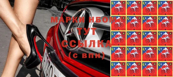 мдпв Абаза