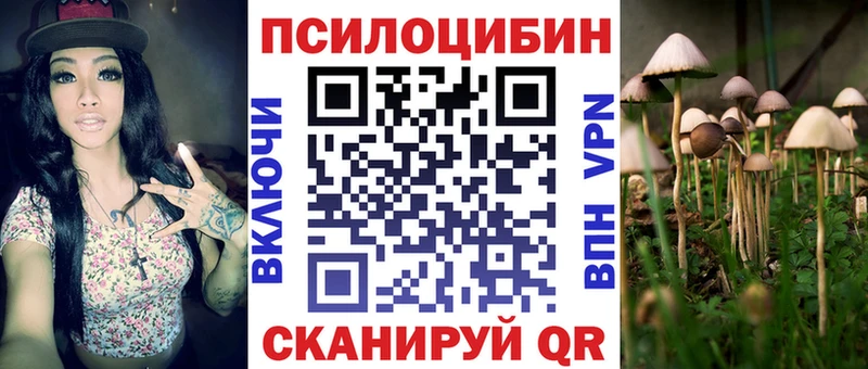 наркотики  Туринск  Галлюциногенные грибы Psilocybine cubensis 